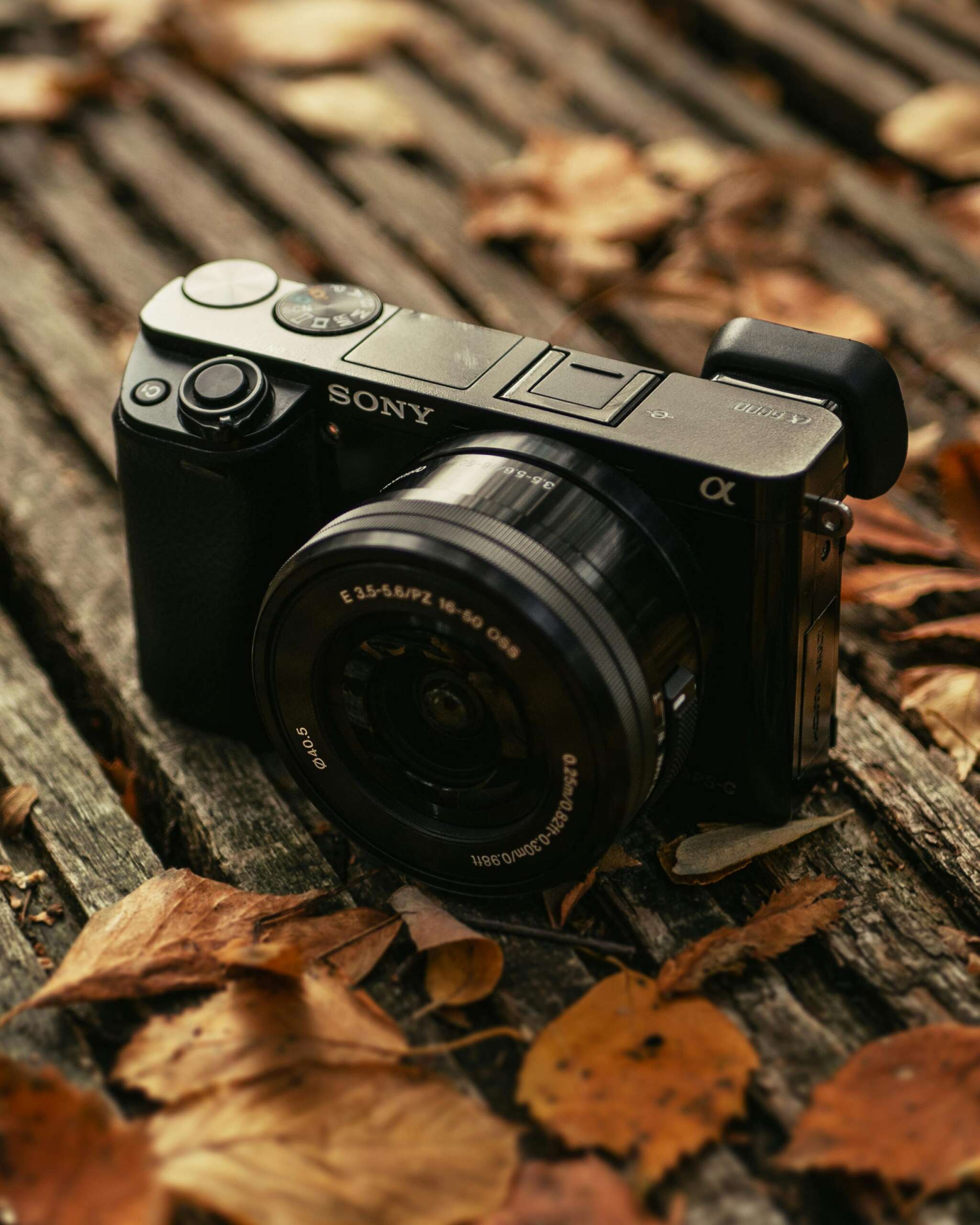 Close-up of a Sony camera on a wooden bench surrounded by autumn leaves, perfect for photography themes.